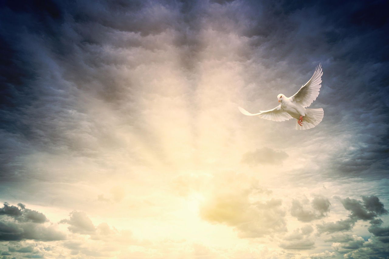 A white dove soaring in a dramatic sky with rays of sunlight breaking through the clouds, symbolizing the Holy Spirit in Christianity.