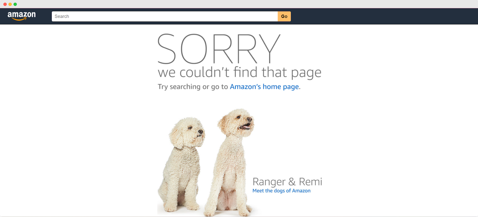 Amazon 404 page