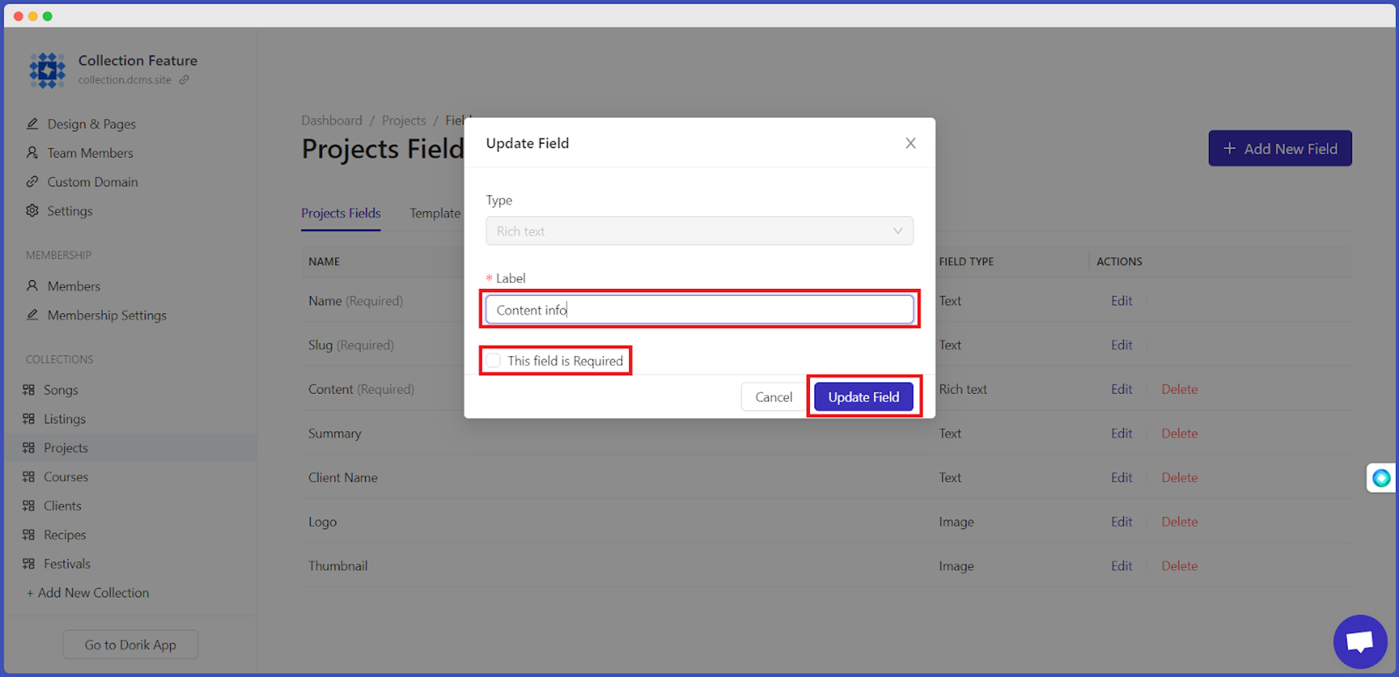 customizing a field 