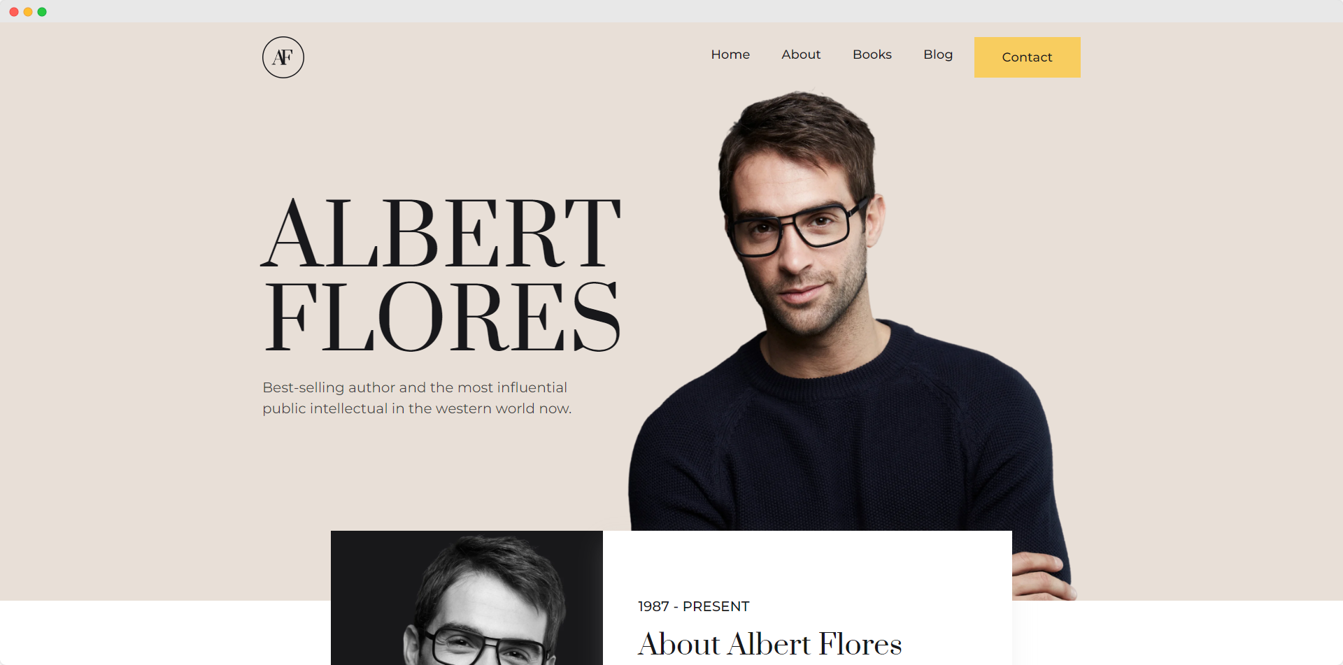 Writer portfolio website template