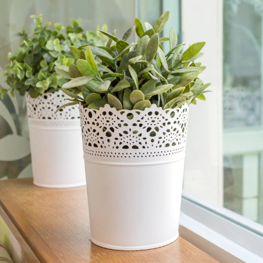 Decorative Indoor Pots