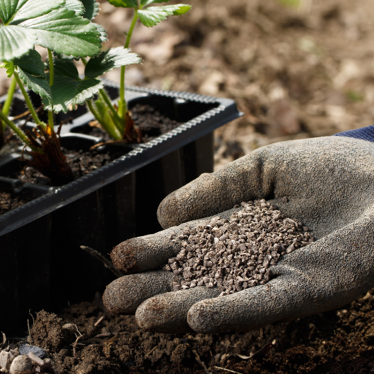 Organic Soil