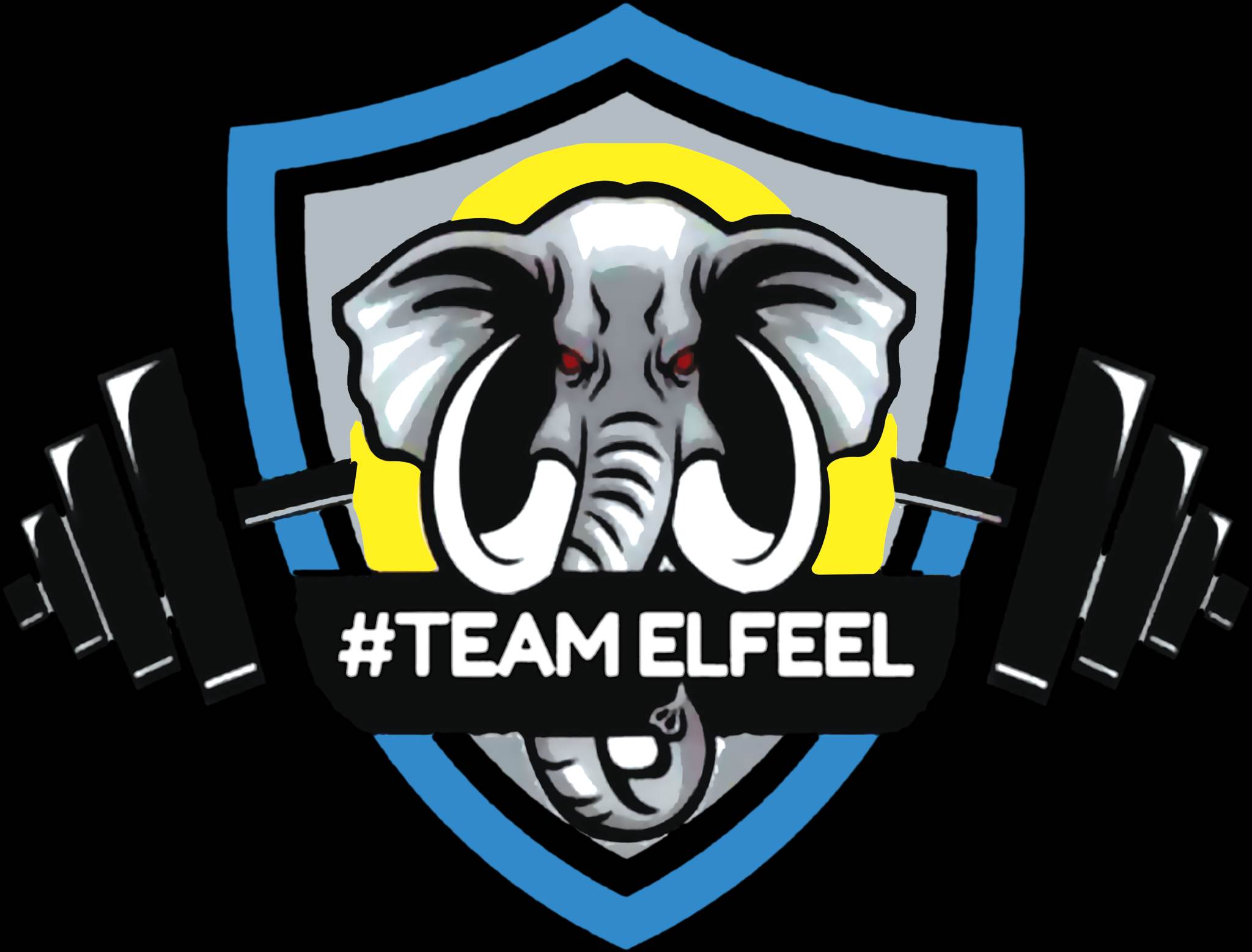 TEAM ELFEEL