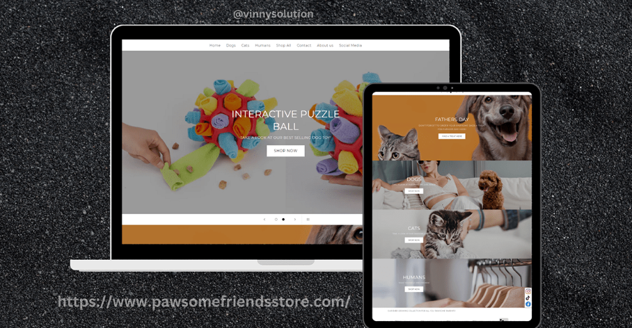 shopify website