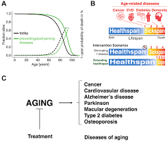 nutrition and south beach diet in miami fl