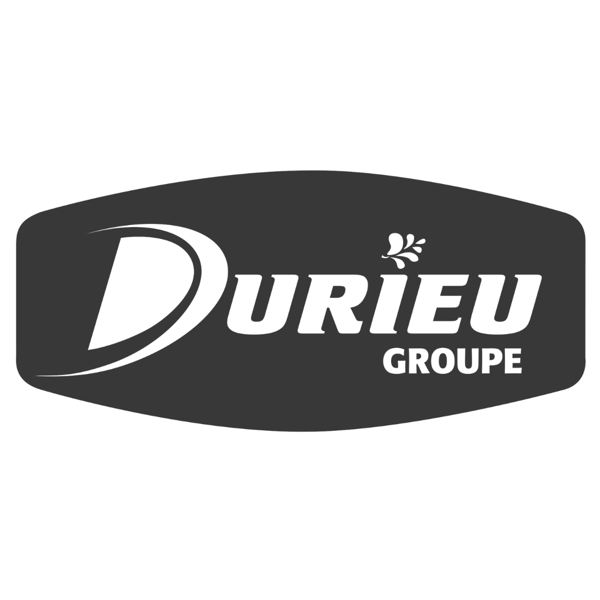 Durieu groupe - logo 