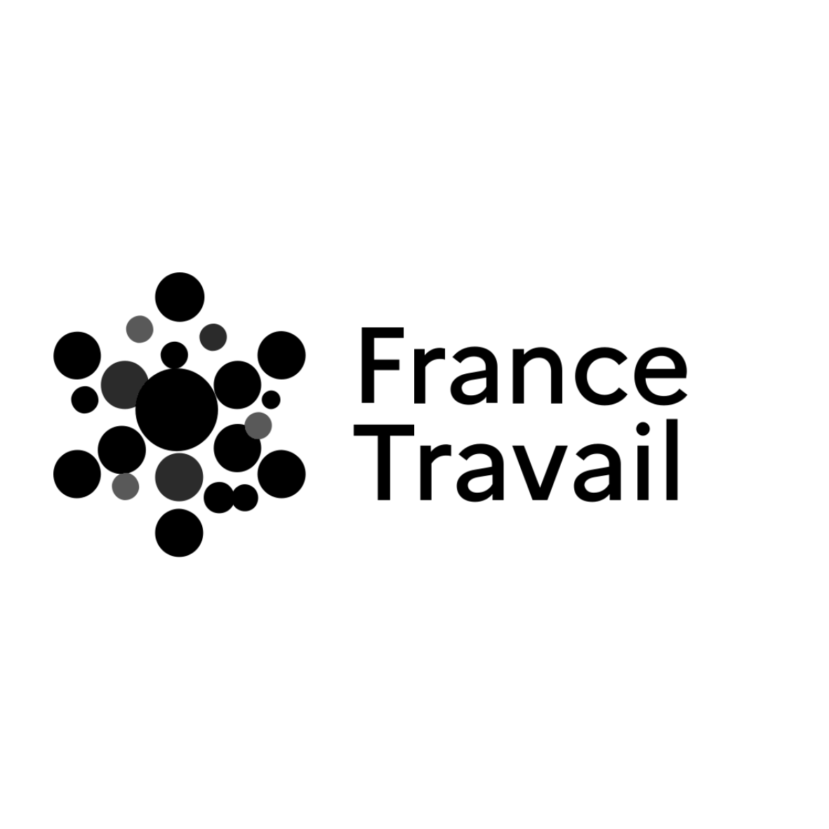 France Travail - logo