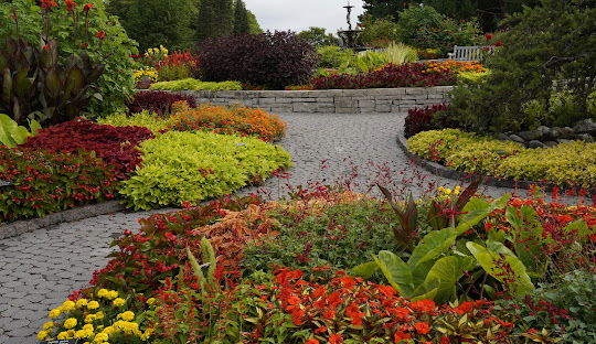 Victoria, MN Cleaning Services