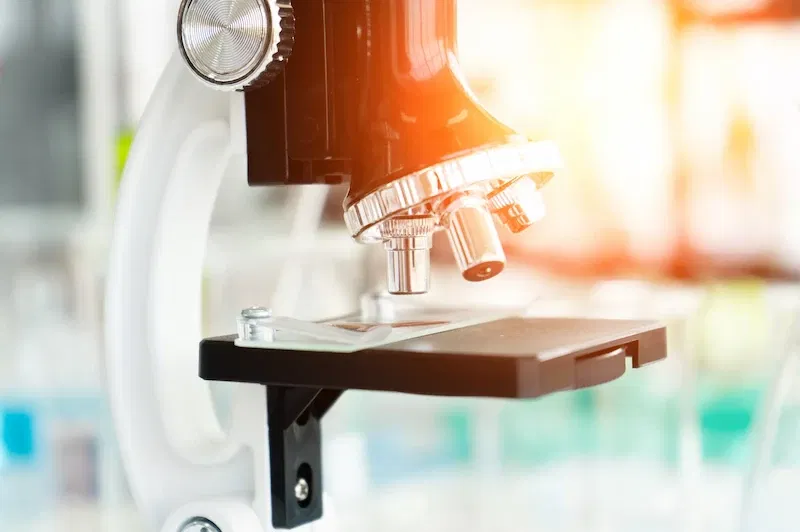 Biopsie endometru si chiuretaj biopsic - analiza histopatologica in ginecologie