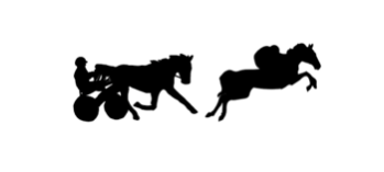 course de trot 