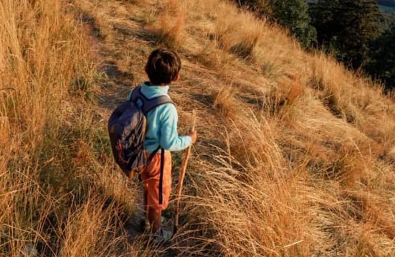 photo d'enfant dans la nature