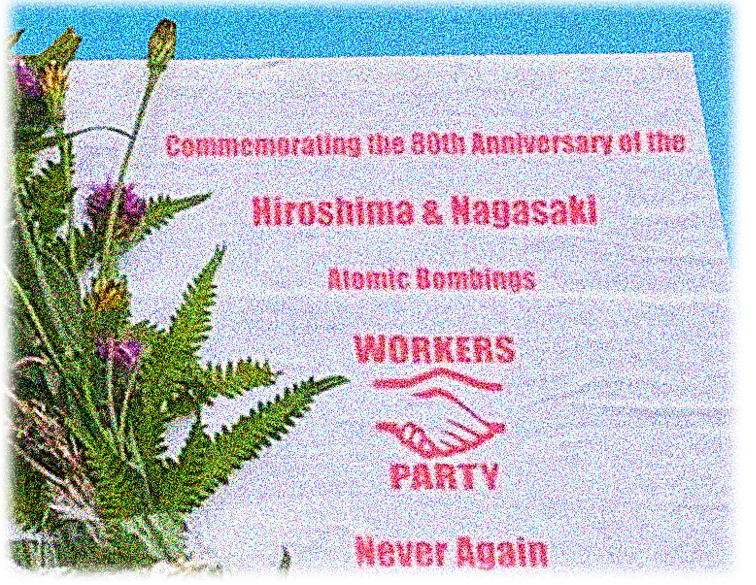 Workers Party Cork 6th August 2025