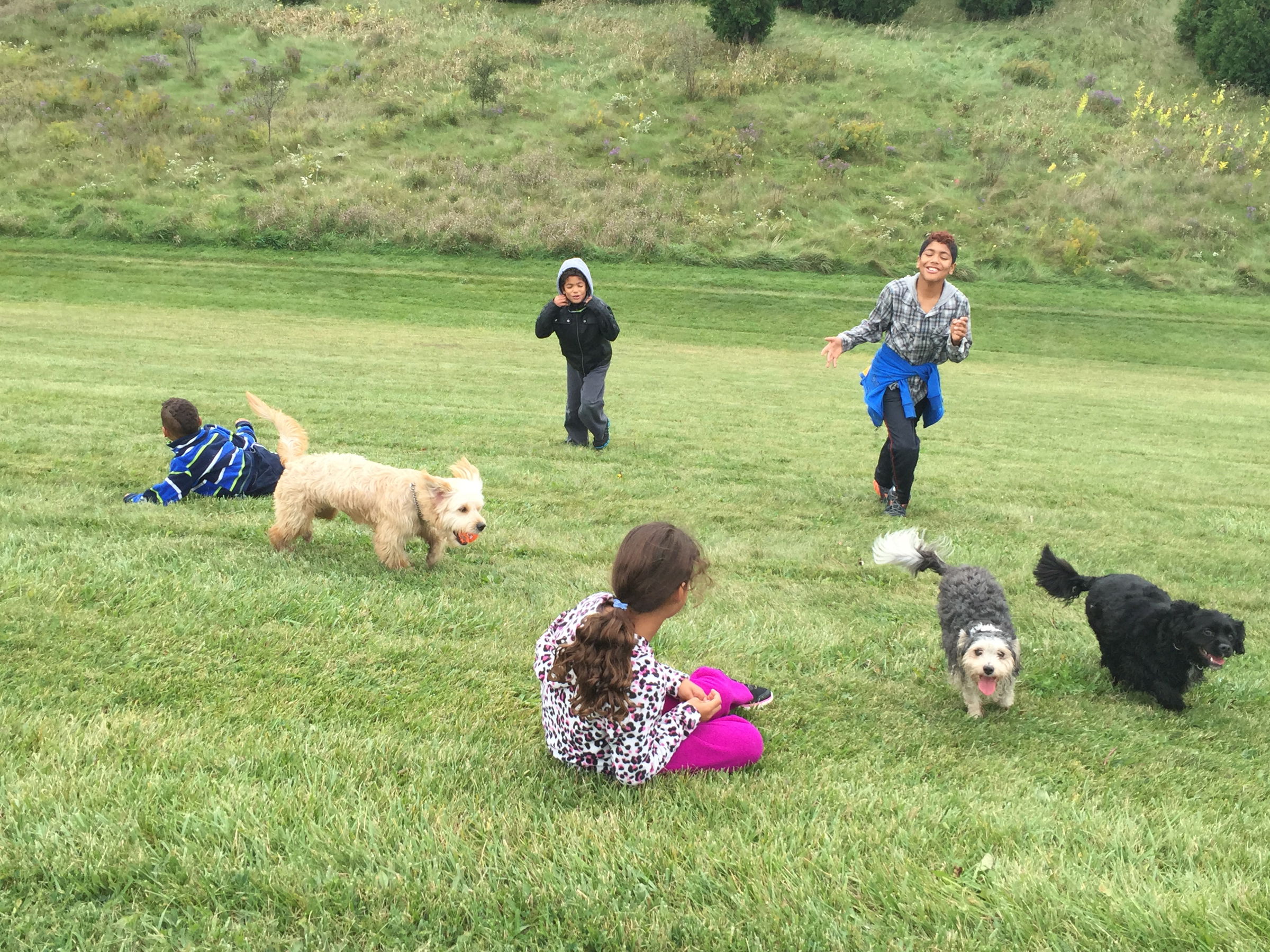 Parent ADHD and Emotional Regulation Coaching