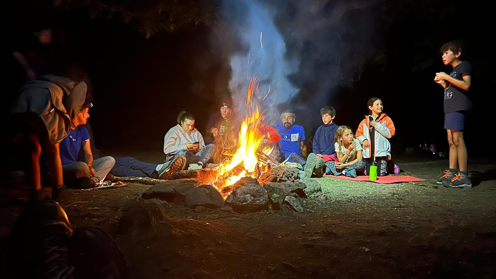 rainforest conservation