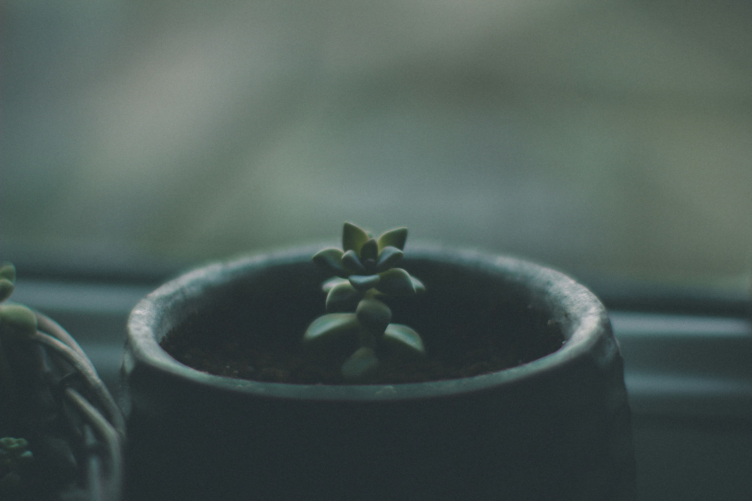 learning potential