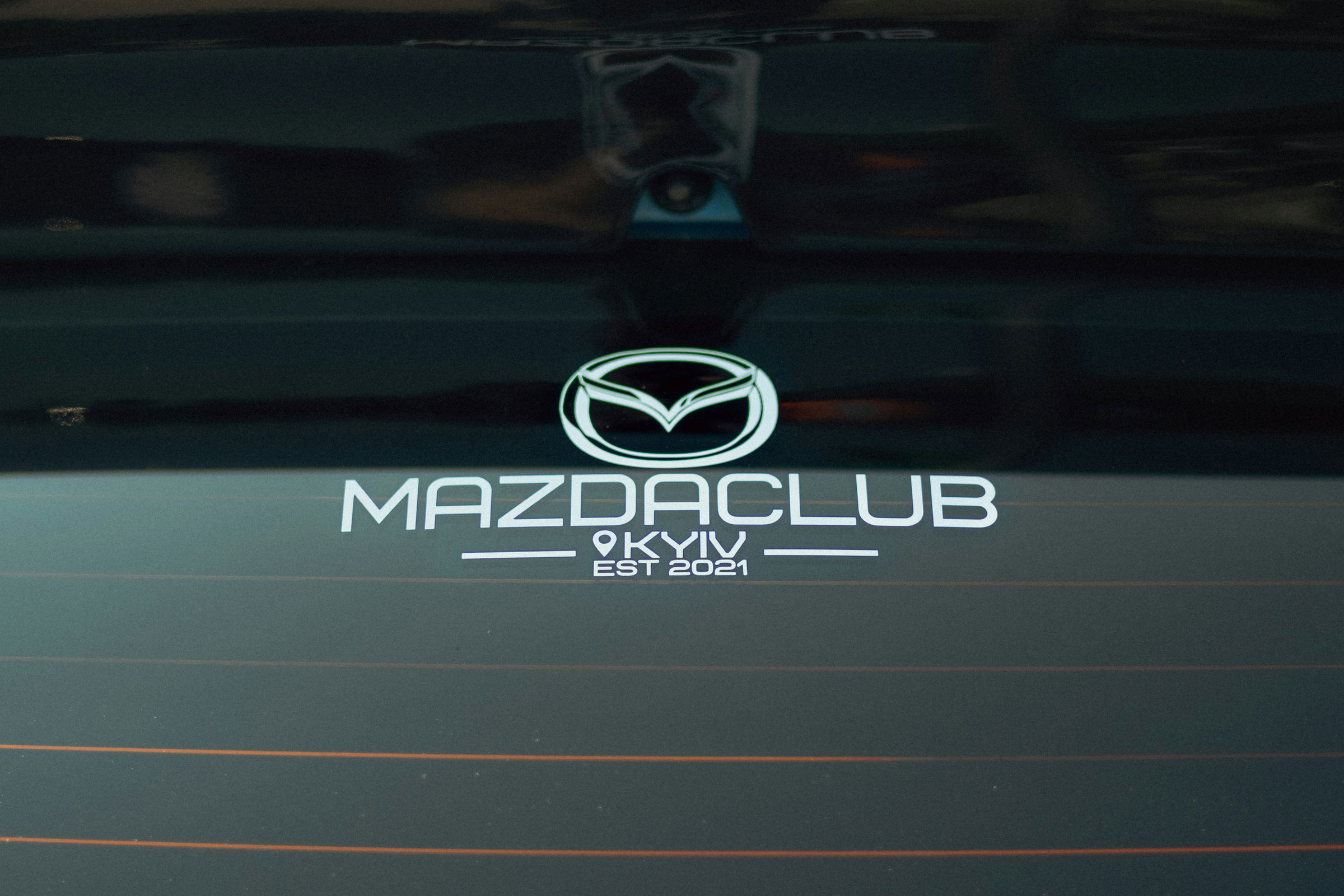 membership experience