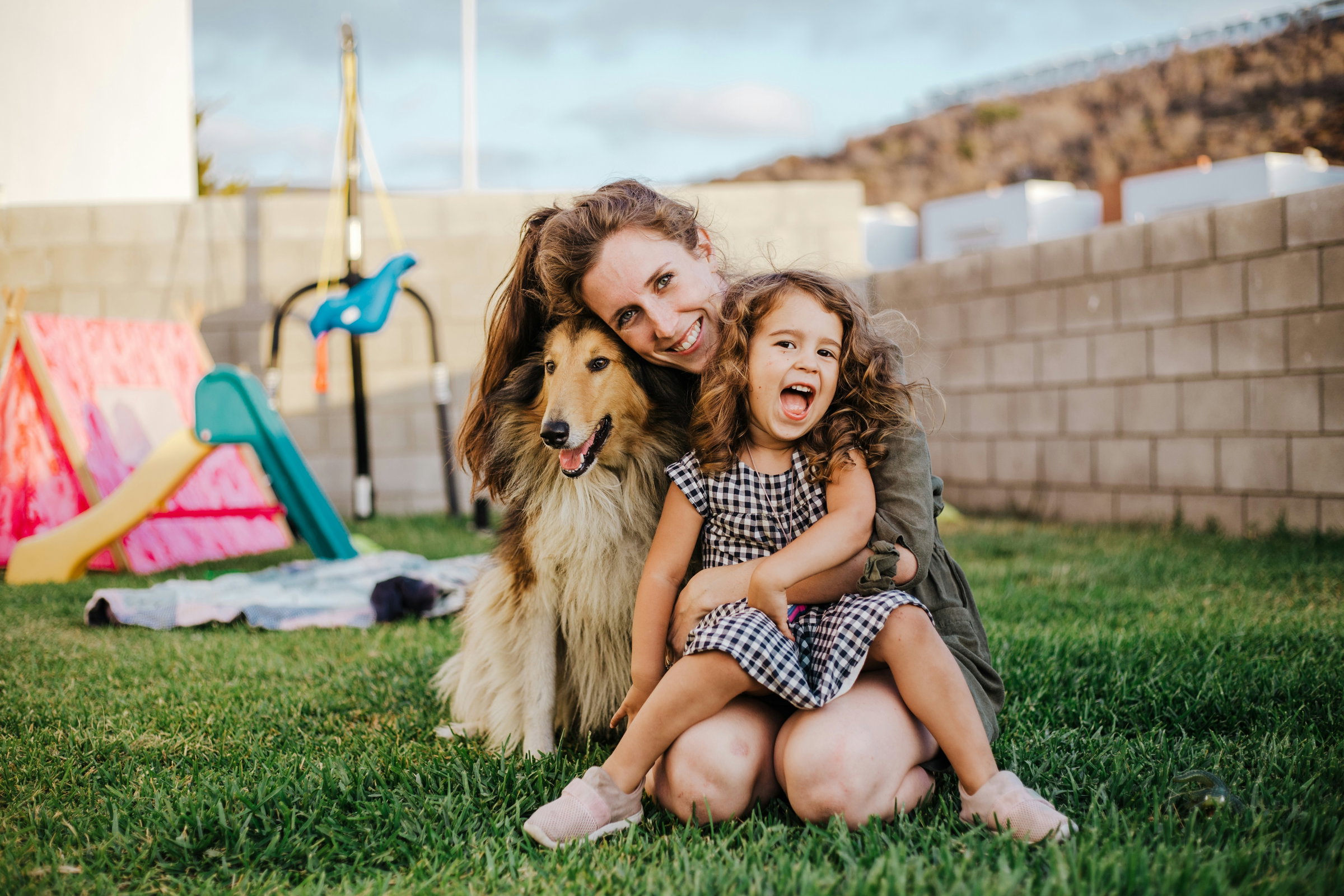 family dog