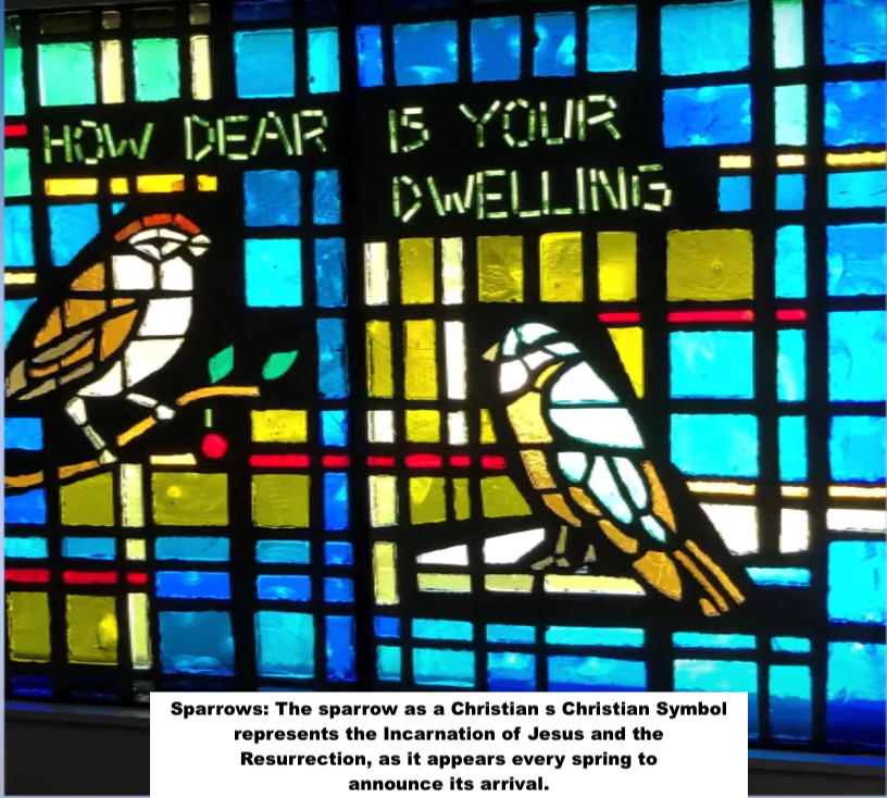Sparrows