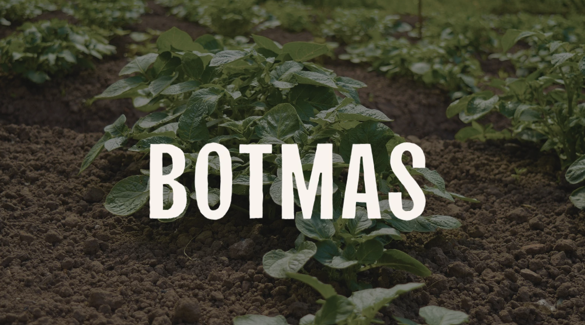 BOTMAS - CONTENT STRATEGY