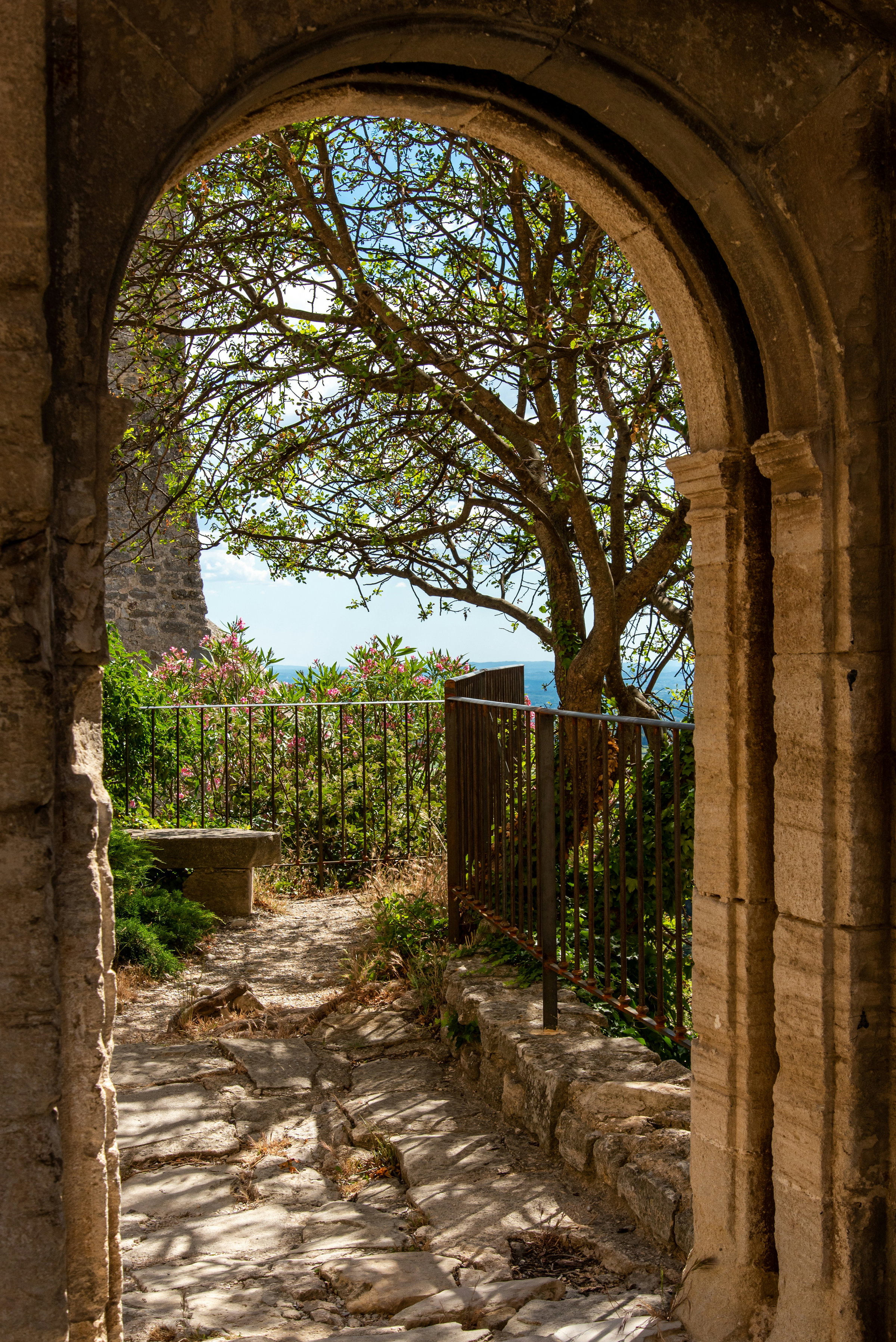 archway-opening-to-beautiful-scenic-trees-symbolizing-new-beginnings-and-opportunities