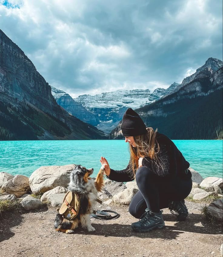 traveler hiking bag