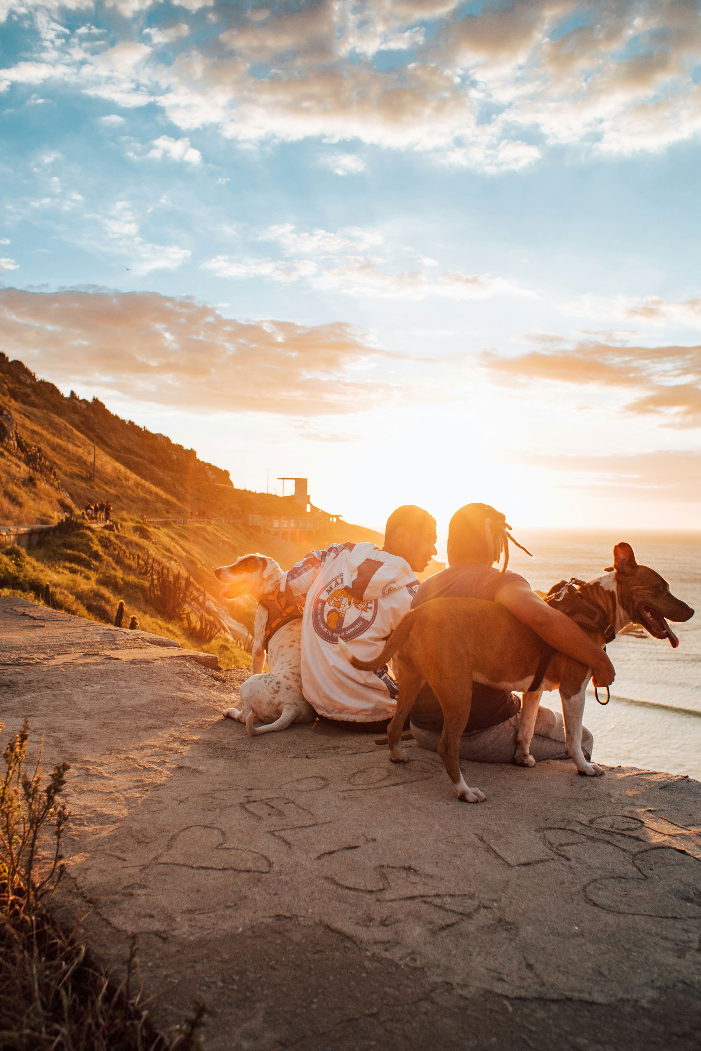 pet travel