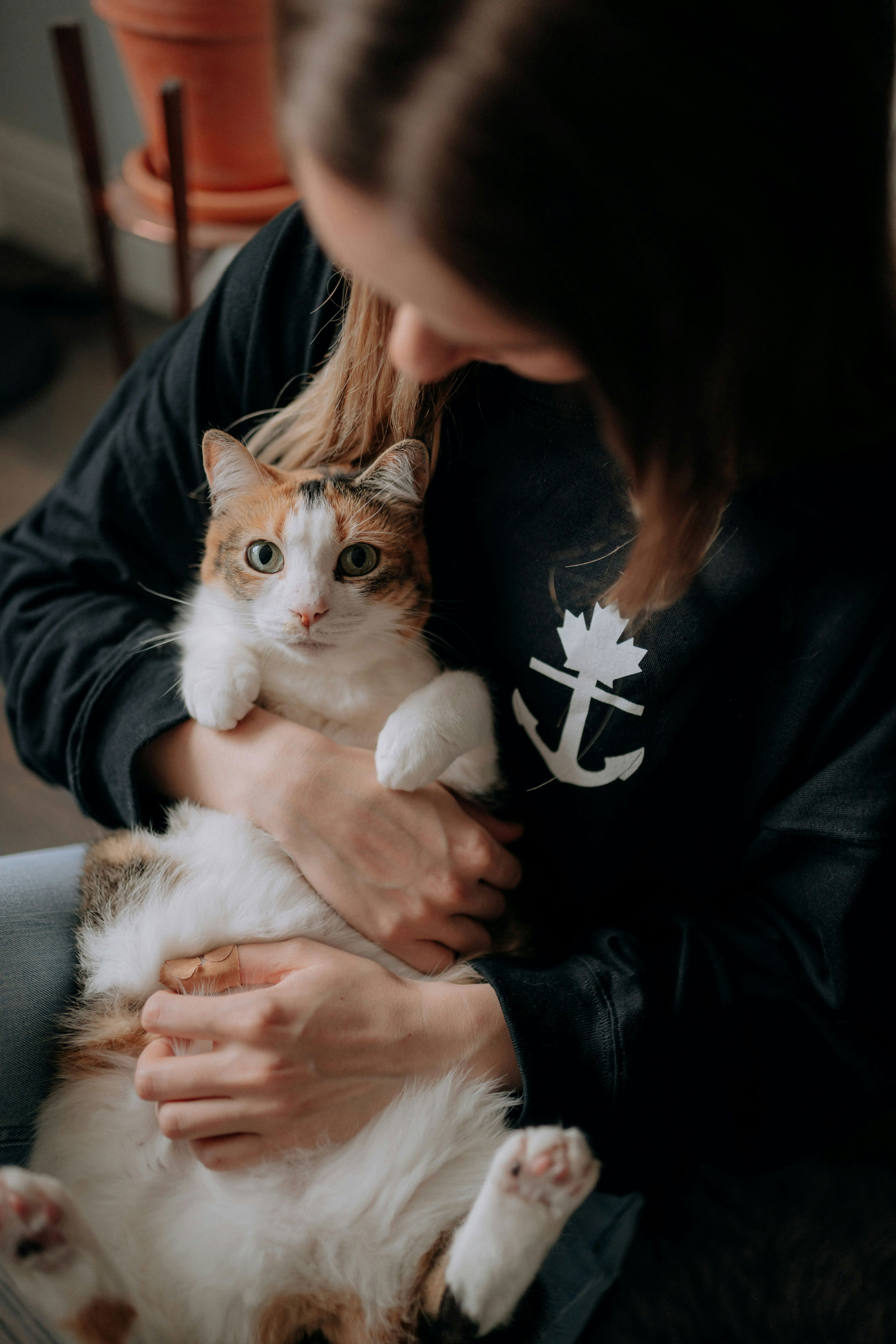 pet owner connect