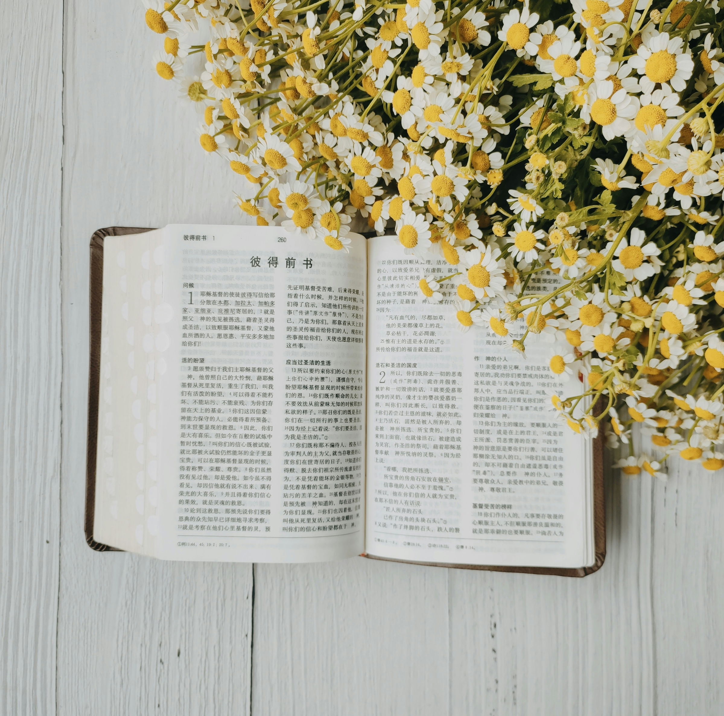 bible readers happy