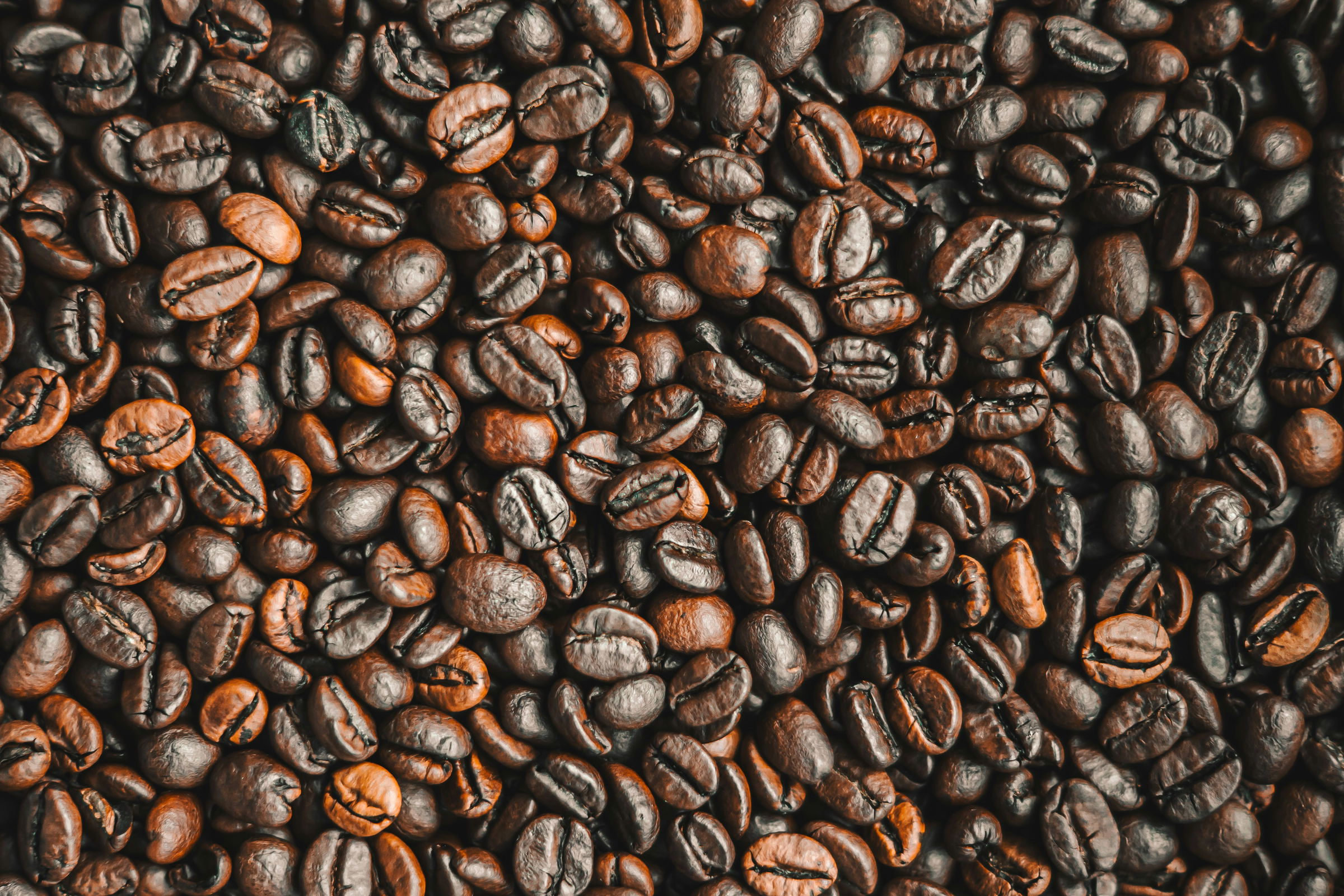 coffee shop