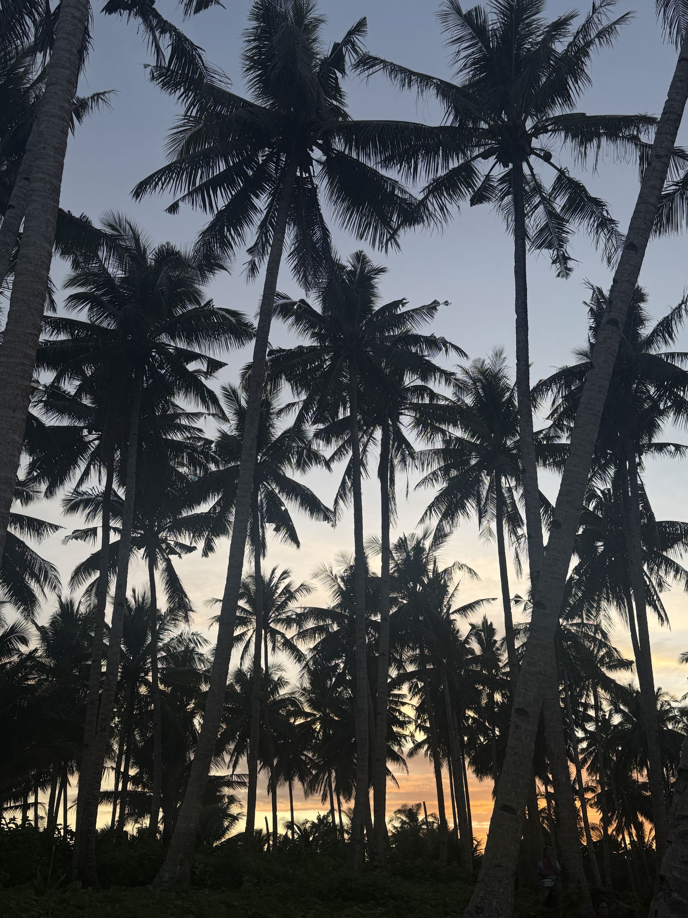 Atardecer en Siargao