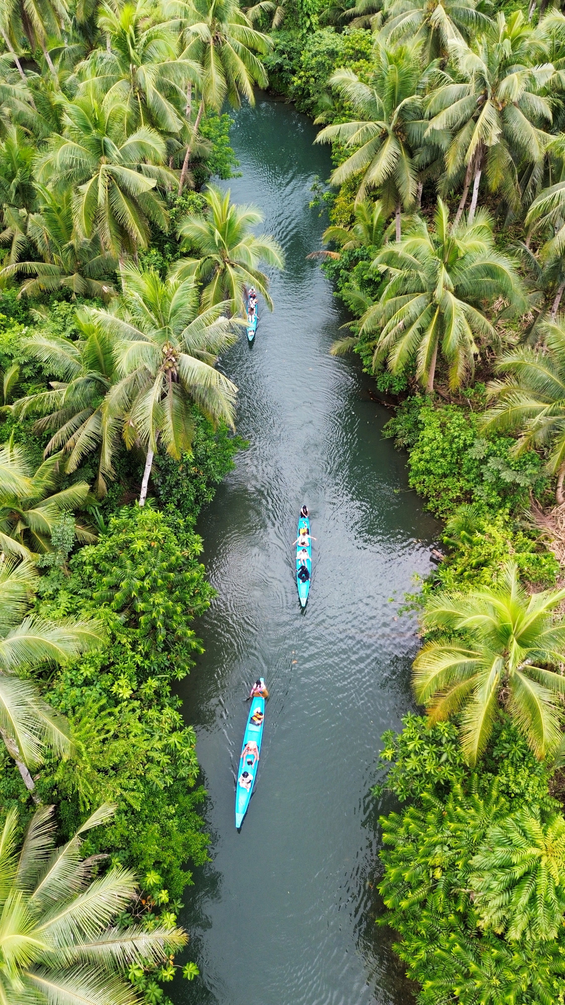 Maasin River