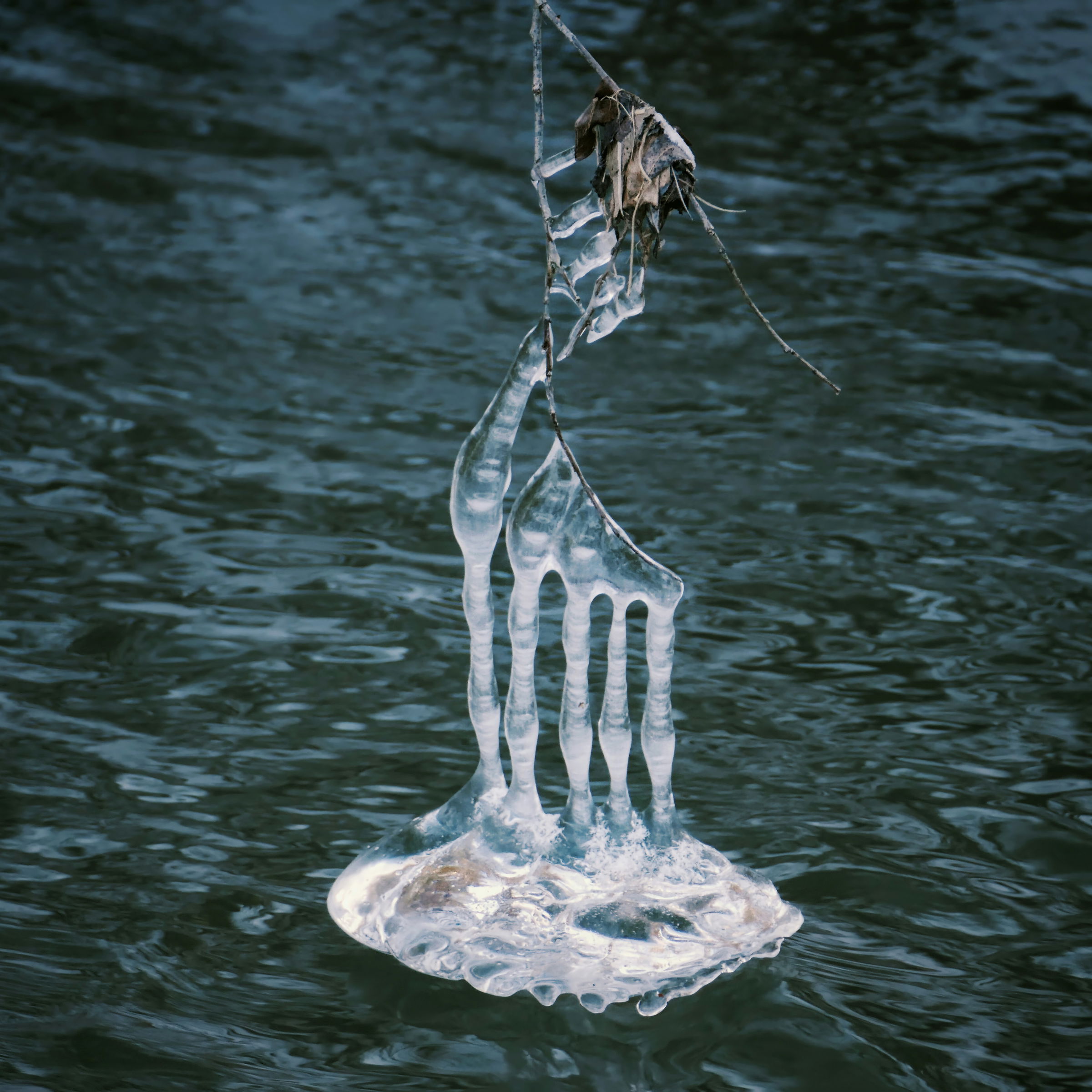 lead flow