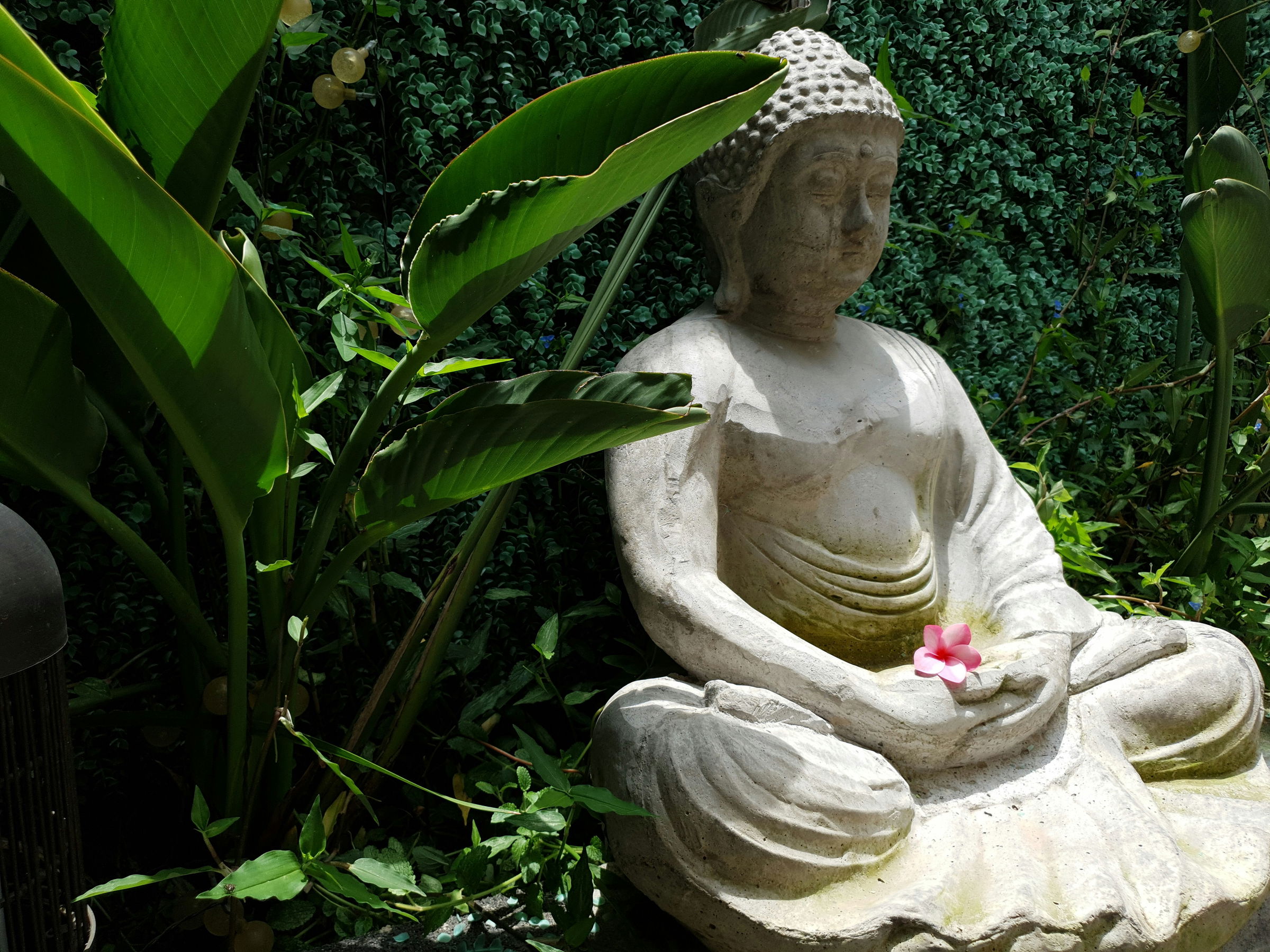 meditation guidance