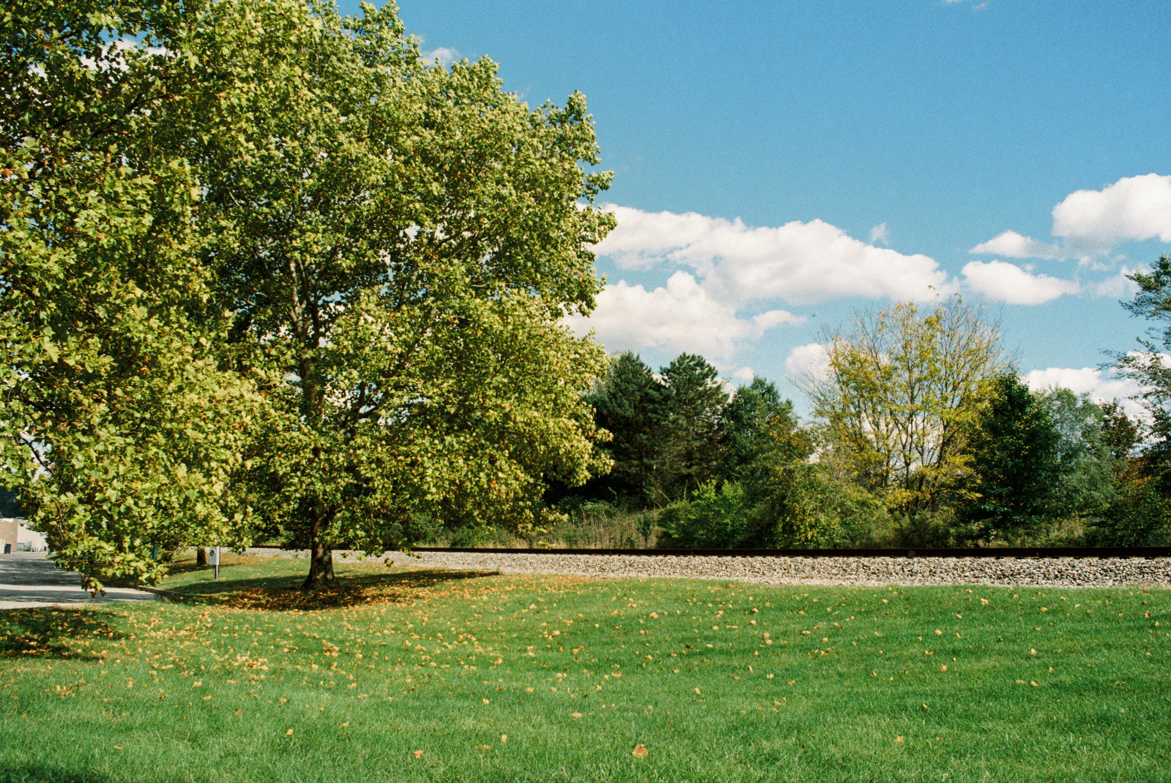 maryland landscaping