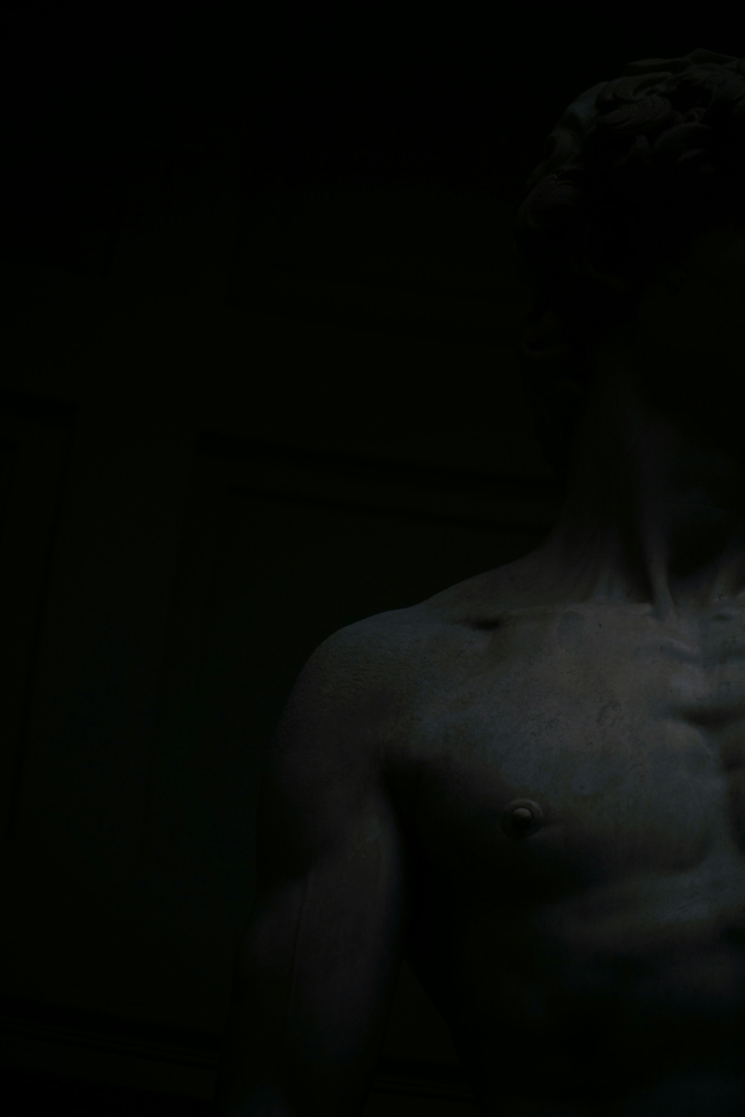 muscular transformation