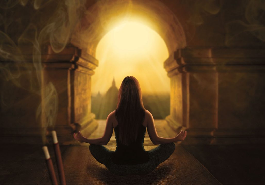 wellness transformation