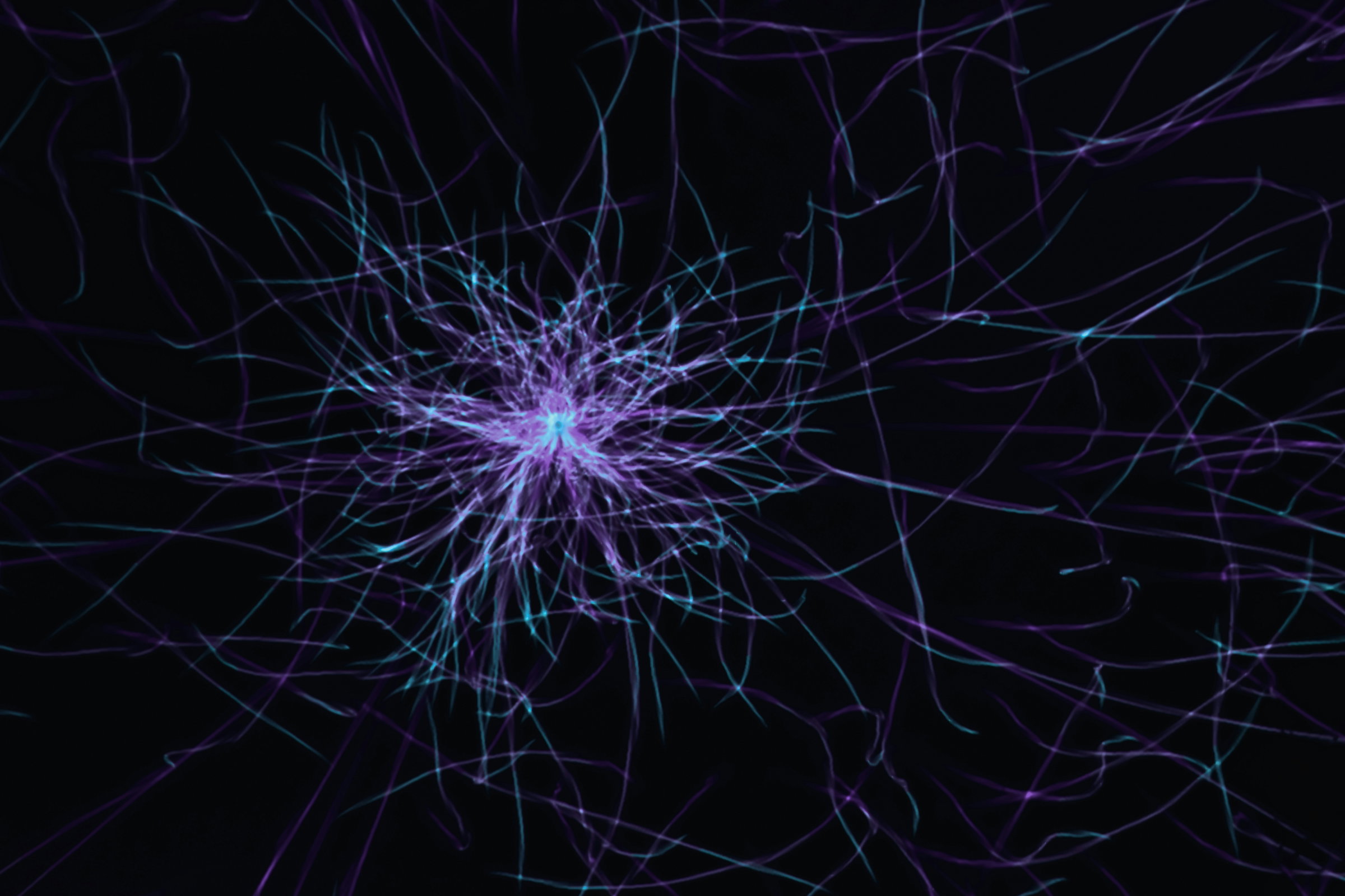 intelligent networks