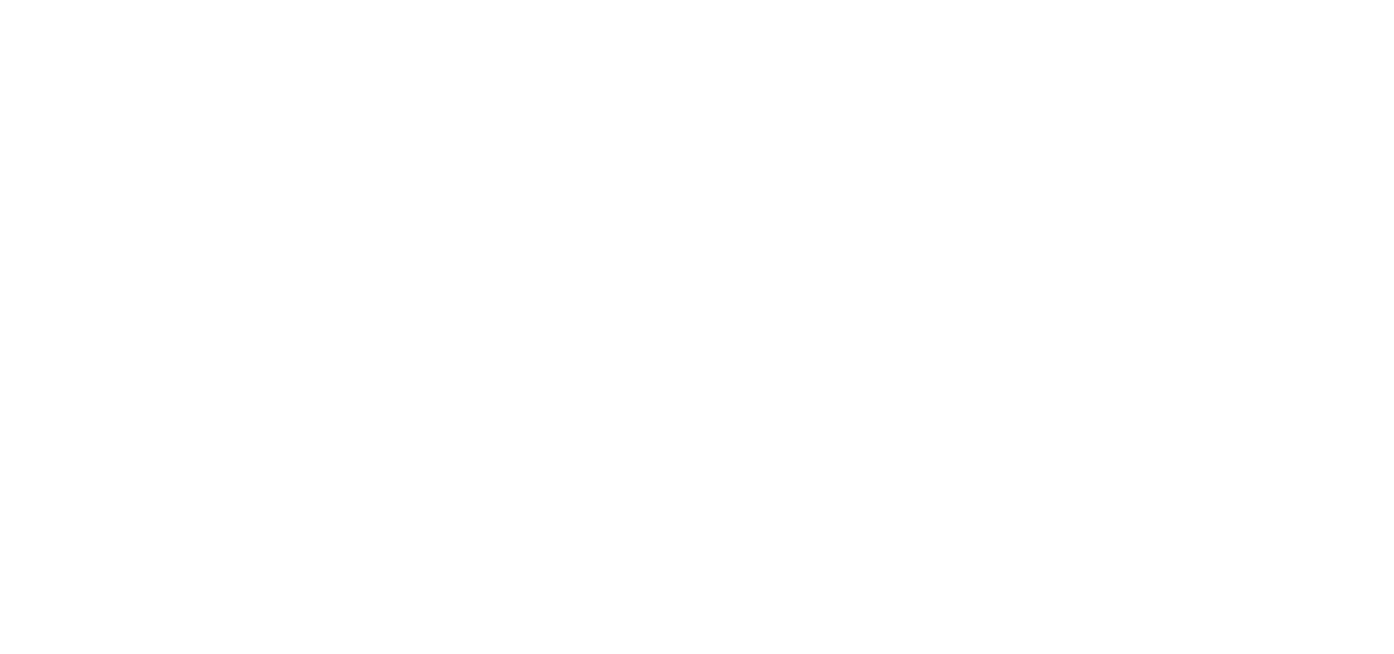 Logo FORSIM