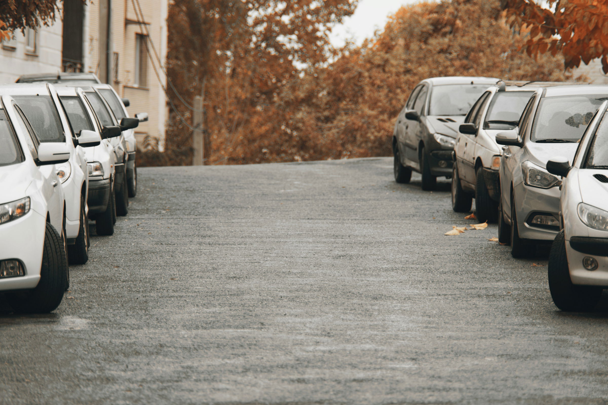 insurance leads