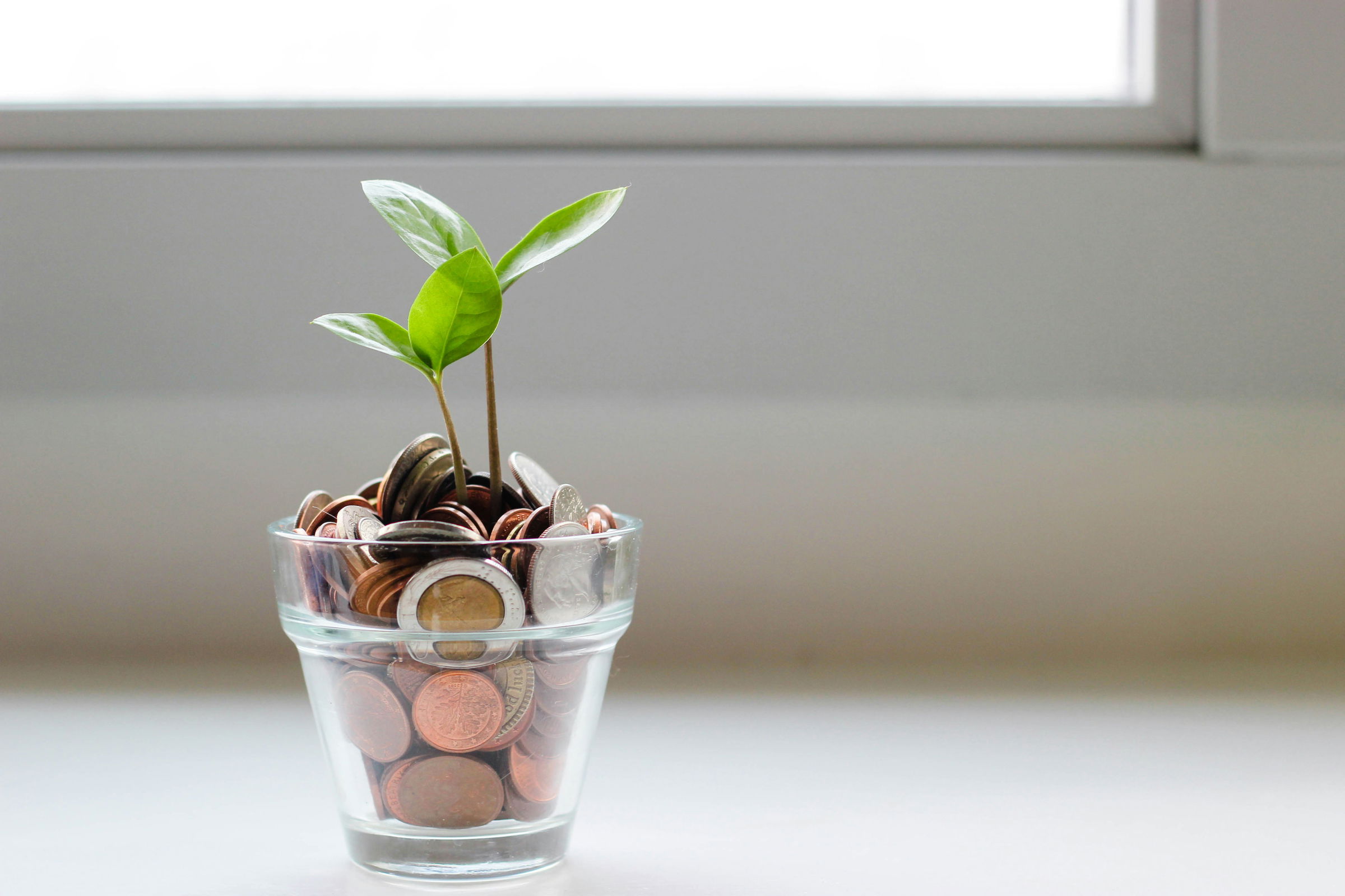 sustainable finance
