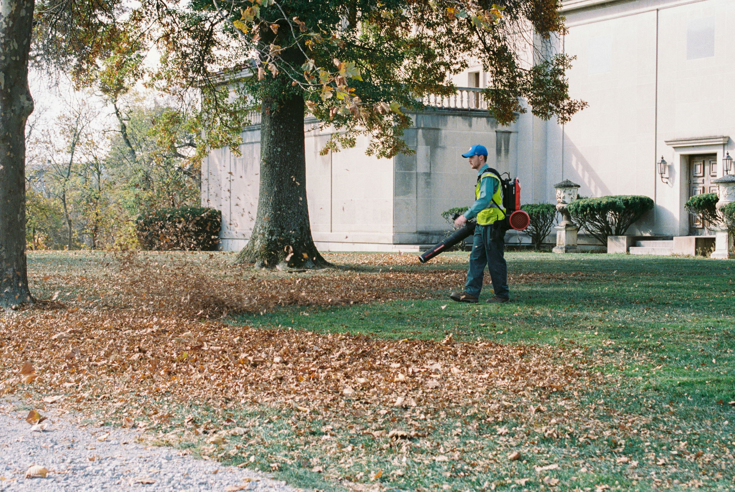 property maintenance