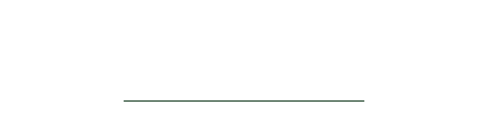 Reusable prompt systems for small and medium businesses