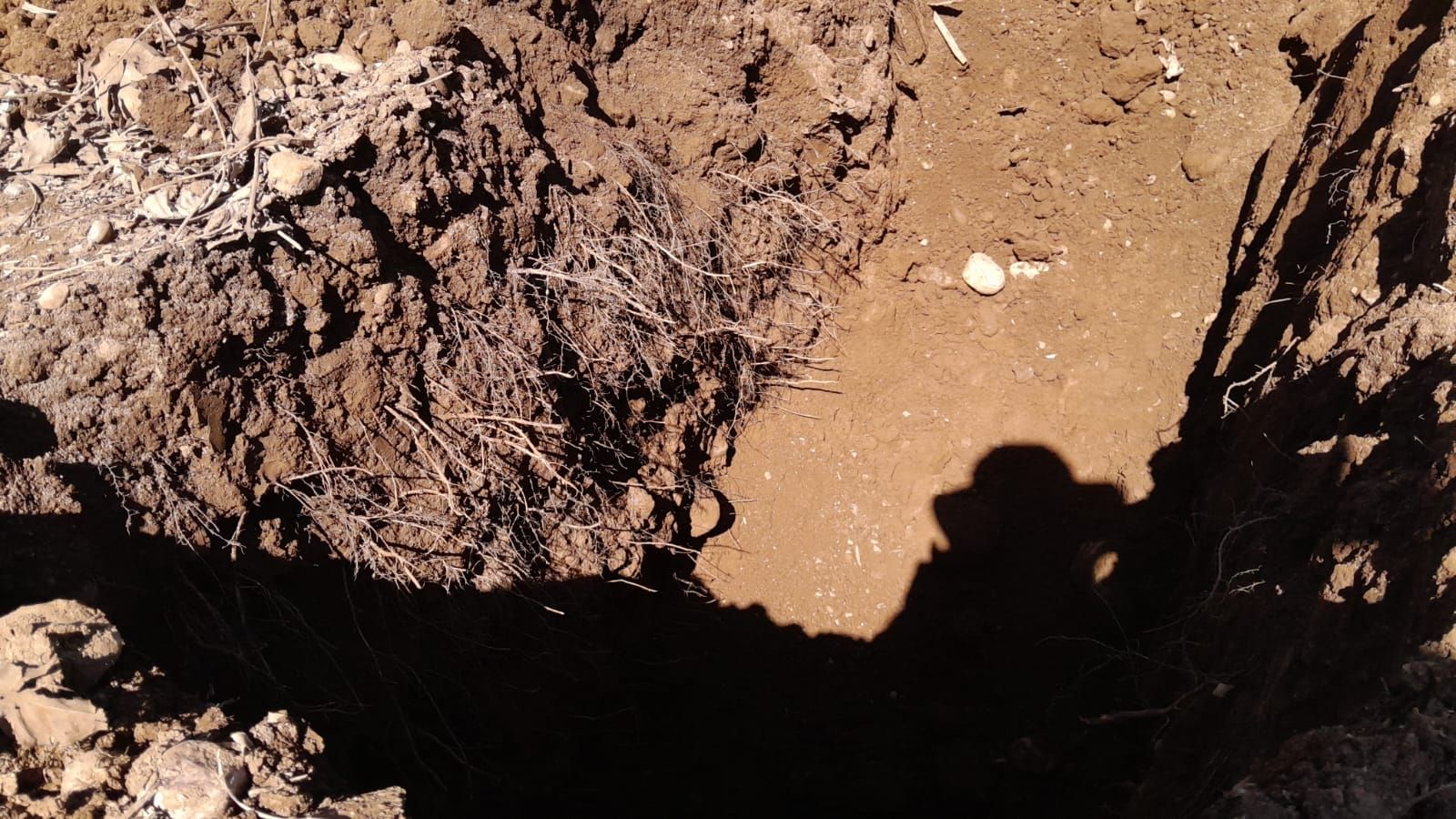 preparación de calicata