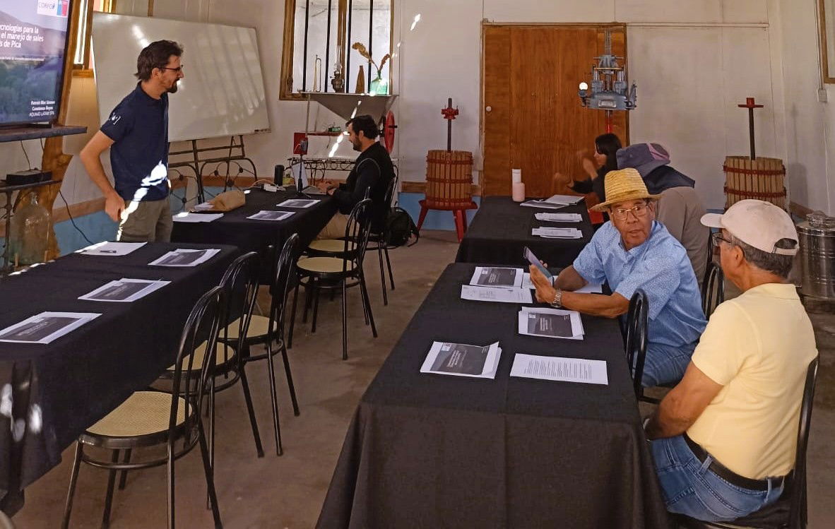 agronomo consultor relator en terreno