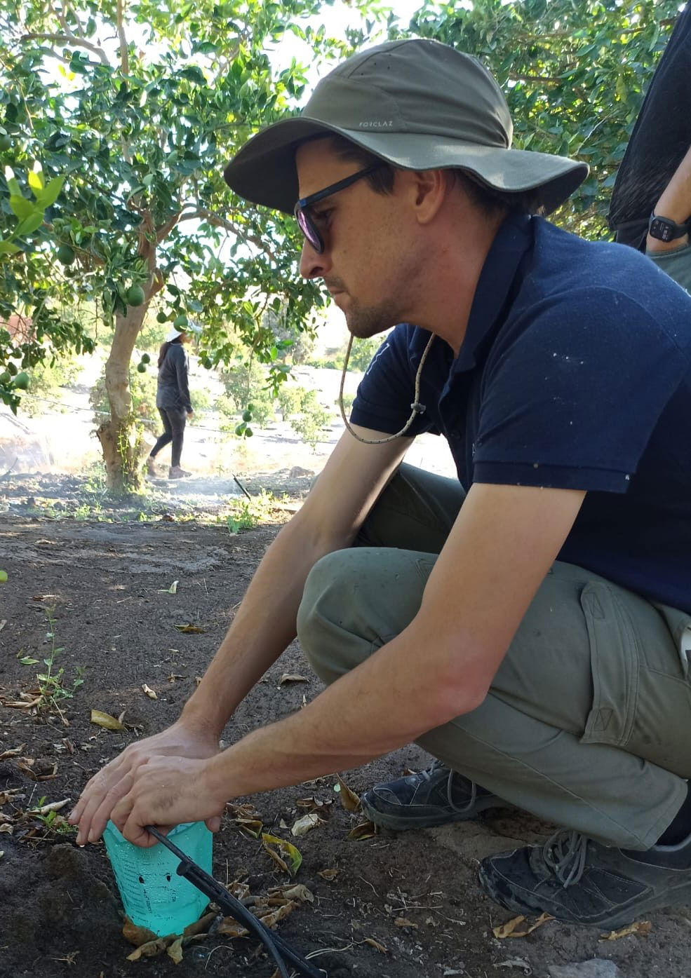 agrónomo en terreno consultor asesor