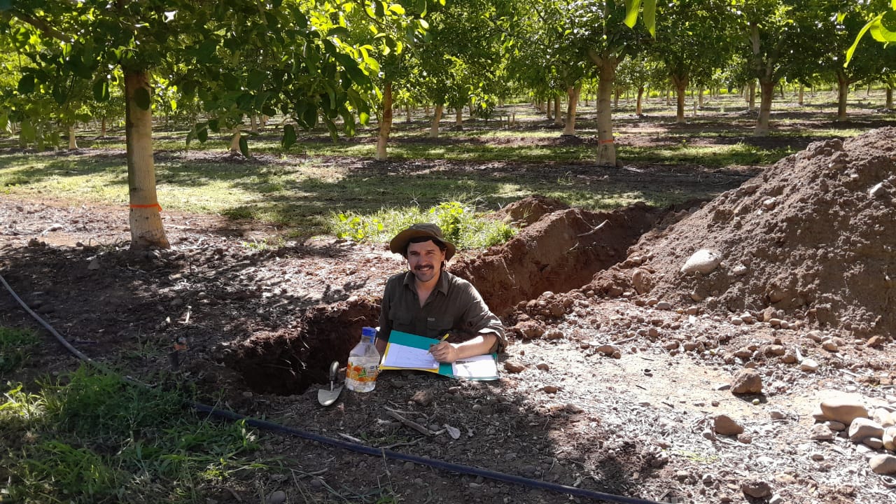 agrónomo en terreno consultor asesor
