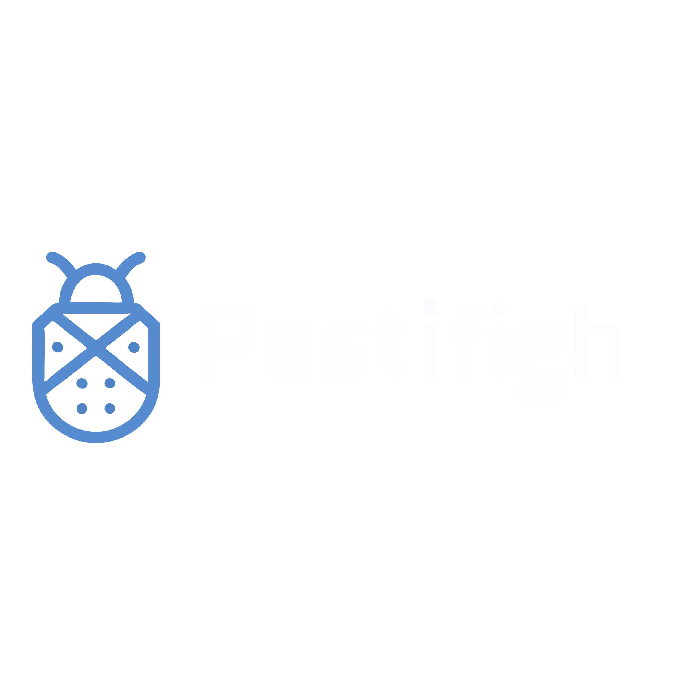 PestiFight