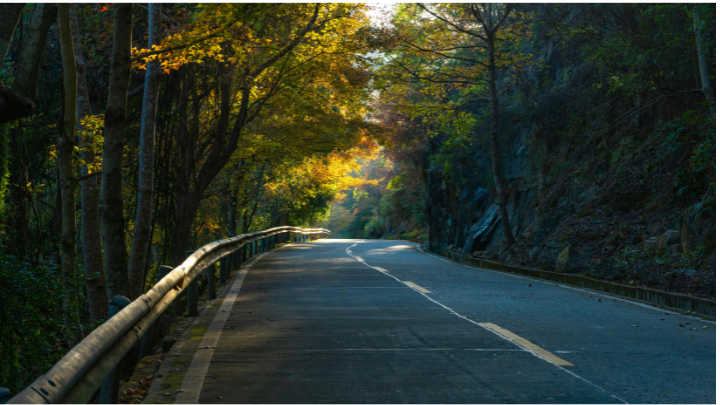 A Gentle Path Through Grief