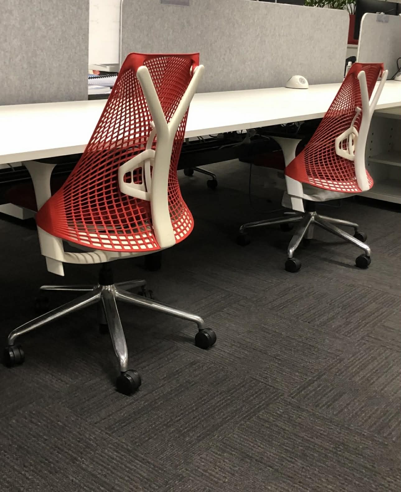 professional cleaners