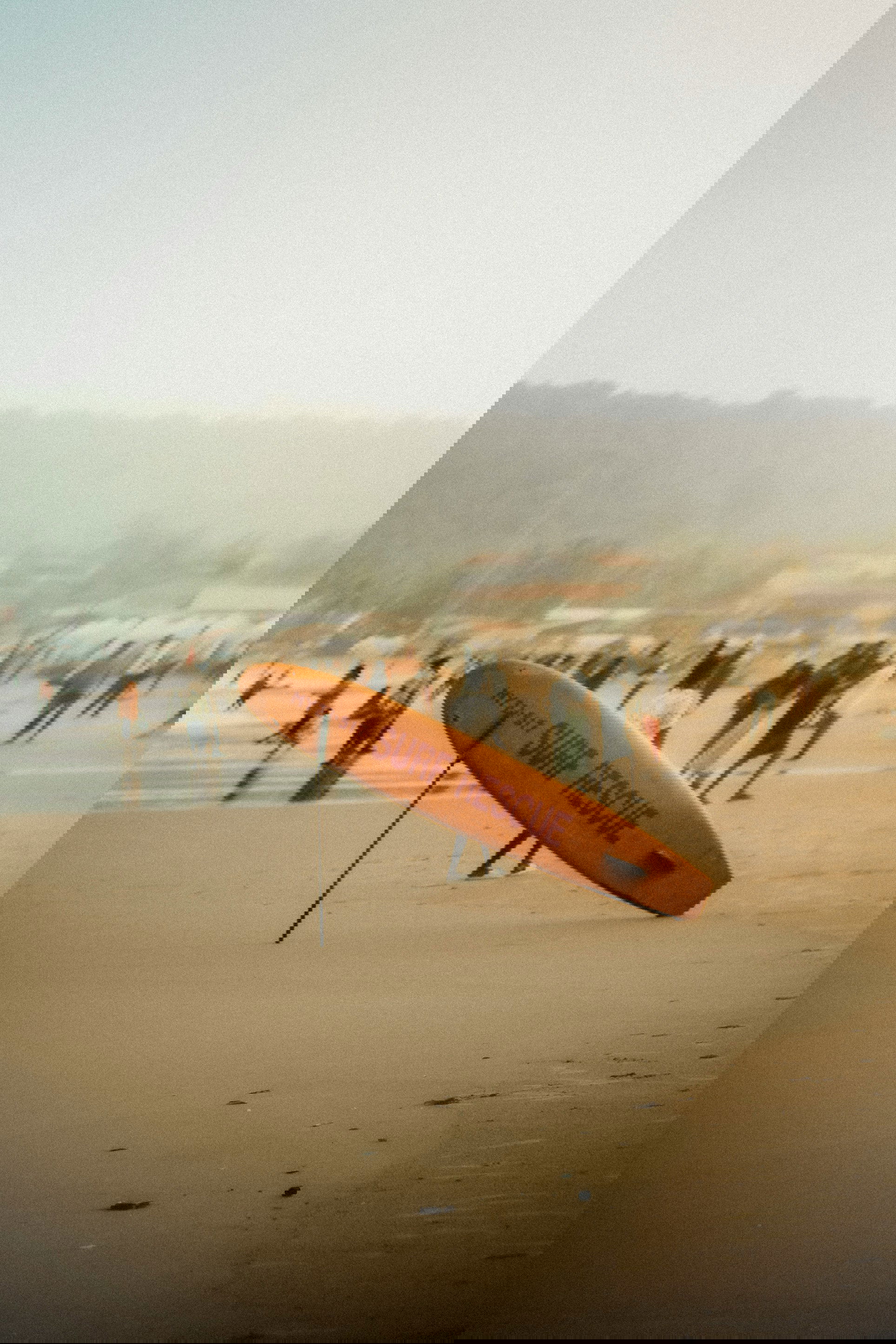 service professionals